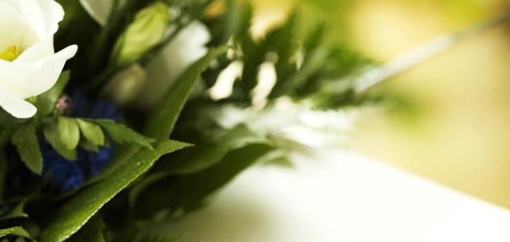 Detailansicht von weißen Blumen und grünem Blattwerk neben einer handgezeichneten Blumenillustration mit goldener Akzentlinie.